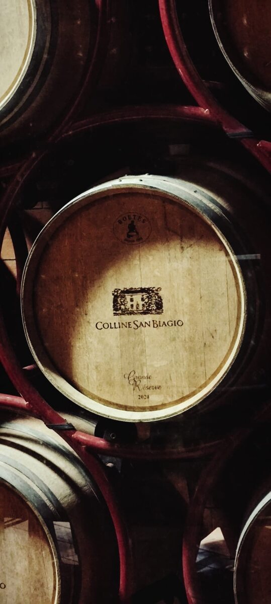 Botti in legno nella cantina di Colline San Biagio